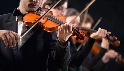 小提琴服装爆料视频下载,时尚与艺术的完美融合 第2张 小提琴服装爆料视频下载,时尚与艺术的完美融合 第2张